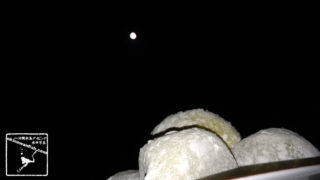 沖縄本島で撮影した中秋の名月と月見団子の写真