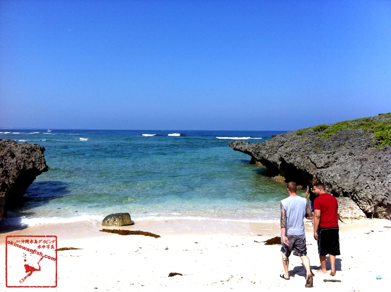 沖縄本島 西海岸 ダイビング シュノーケル 海水浴 子連れ 隠れビーチ 恩納村 水中写真