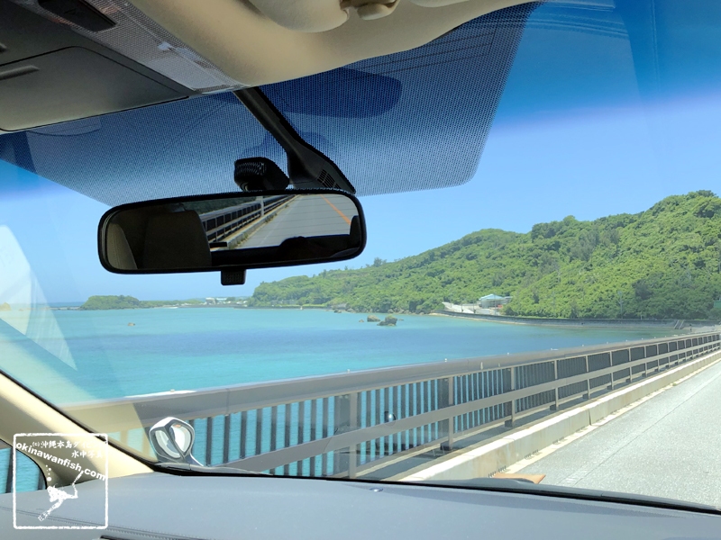 沖縄移住生活 - 2020年 梅雨明け ドライブ 車窓からの景色 沖縄の海