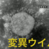 変異ウイルス 国内初のクラスター発生か 厚生労働省 | 新型コロナウイルス | NHKニュ