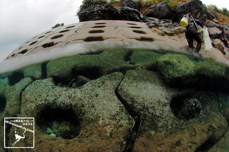 沖縄のダイビング（ビーチダイビングのエキジット風景）半水面写真